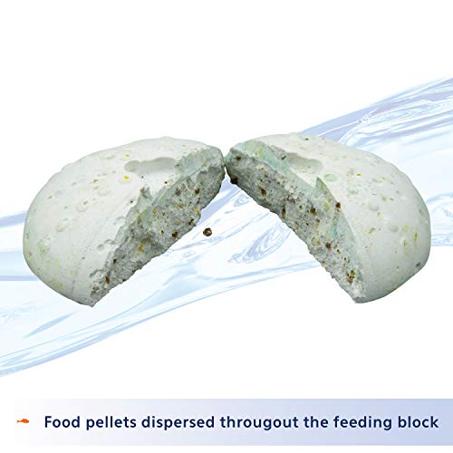 Aqueon Vacation Fish Feeder, Fish Food, 3 Day - 4 Pack | Vacation fish food, slowly dissolves to release pellets; one block feeds 5-6 medium-sized fish for up to 3 days - size: 0.67 Ounce (Pack of 1)