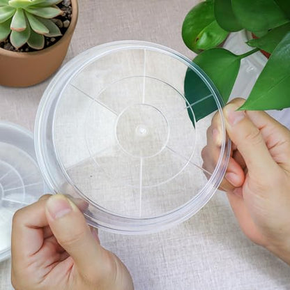 FUIJOL 6 Pack Clear Plant Saucer, Durable Plant Drip Trays Saucers for Pots, No Holes Water Catcher Trays for Indoor Outdoor Planter, Sturdy Base Plate(6", Clear) - size: 6"-6Pack