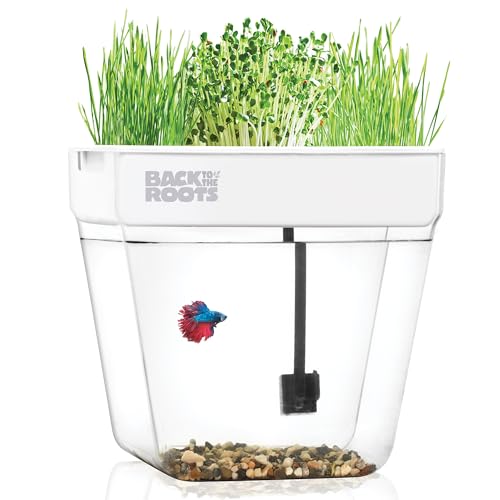 Back to the Roots Indoor Aquaponic Garden - 3 Gallon Self Watering, Mess-Free Planter and Self-Cleaning Fishtank for Herbs, Microgreens, Bamboo, Succulents, and Houseplants, support Fish - size: Deluxe, style: Aquaponic Fish Tank