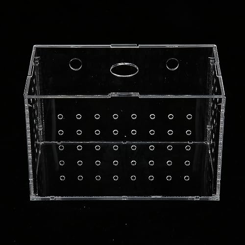 Fish Breeder Box, Aquarium Fish Breeding Box, High Transparency Acrylic Hatchery Incubator with Suction Cups for Baby Fish Shrimp Clownfish Isolation and Rearing (14 * 8 * 9CM) - size: 14*8*9CM