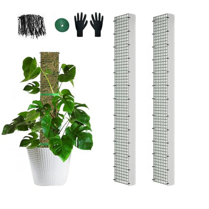 40" Metal Moss Pole, D Shape Sphagnum Moss Pole, Moss Poles for Climbing Plants, Monstera, Indoor Climbing Plants (2Pcs 40") - style: 2Pcs 40"