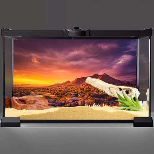 30x12 in Sun Desert Terrarium Backdrop Mountain Reptile Habitat Background | AWERT Oasis Gobi Mountain Desert Background, Vinyl - size: 30x12in/75x30cm