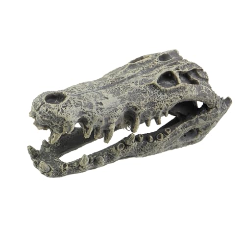 1 Pcs Resin Dinosaur Skull Aquarium Ornament, T-rex Skull Dinosaur Head, Tyrannosaurus Rex Head Skull Sculpture Fossil Figurine for Fish/Shrimp Hiding, 5.7"x2.5"x2.2"/145x63x56mm - size: 5.7"x2.5"x2.2"/145x63x56mm(LxWxH)