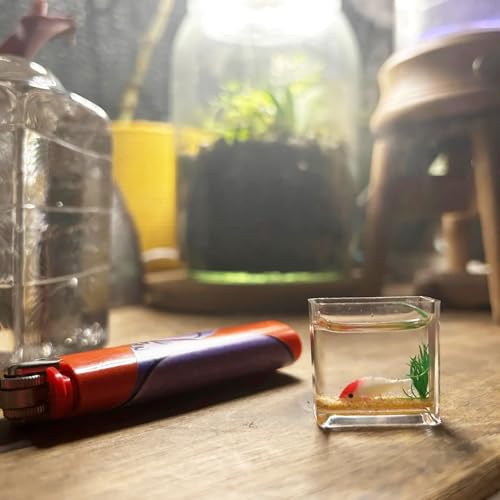 Dollhouse Fish Tank, Miniature Round and Square Goldfish Tank, Mini Miniature Goldfish Aquarium, for Dollhouse Miniature, Fairy Garden, Diorama Decoration (Round Tank)