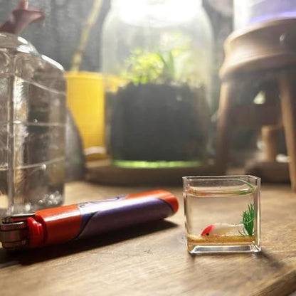 Dollhouse Fish Tank, Miniature Round and Square Goldfish Tank, Mini Miniature Goldfish Aquarium, for Dollhouse Miniature, Fairy Garden, Diorama Decoration (Round Tank)