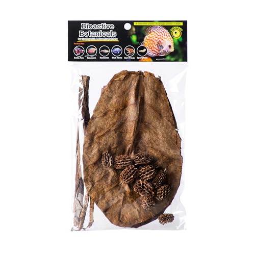 Galapagos (05357) Natural Bioactive Botanicals – 9 Casuarina Cones, 5 Catappa Leaves, and 2 Almond Bark - Functional Aquarium Decor for Betta Fish, Hermit Crab, Shrimp Tanks & Blackwater Aquariums