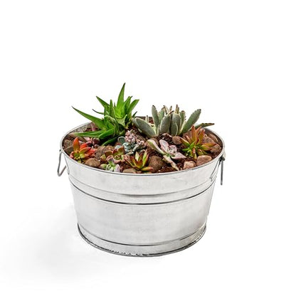 Behrens 5 Gallon Round Steel Tub (2 Tubs) - style: 2 Tubs