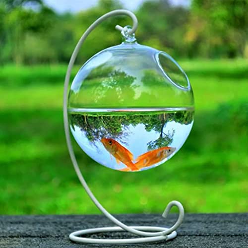 Desk Hanging Fish for Tank Bowl for Flower Plant Vase Ball Glass Clear Round Shape Save Space Convenie Desk Bowl with Stand - color: white