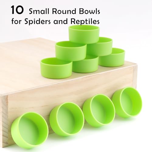 10 Pcs Tarantula Micro Water Bowl Small Reptile Food Dish Feeding Bowl for Spider Gecko Lizard Horned Frog Turtle (Green)