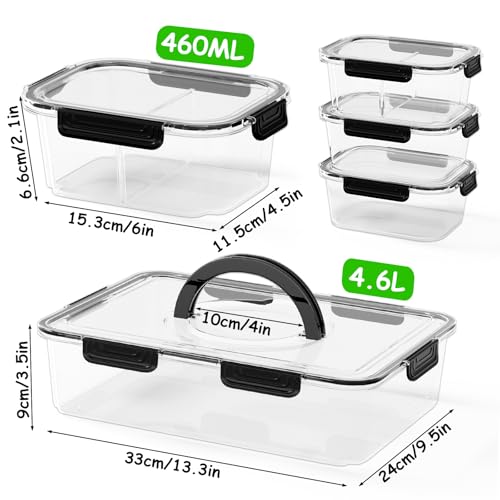 LOTKEY 5 Pack Fruit Storage Containers for Fridge, Divided Serving Tray with Lid and Handle Portable Snack Box Container BPA-Free Fridge Organizer Bins for Fruit, Veggie, Snack, Nuts