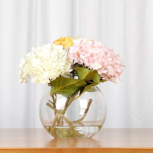 WGV Bowl Glass Vase Bulk, Diameter 10", Height 8", Open Width 6", (Multiple Sizes Choices) Clear Bubble Planter Terrarium Fish Bowl for Wedding Event Home Decor, 4 Pieces (VBW0010) - size: 10"D 1 Case
