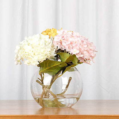 WGV Bowl Glass Vase, Diameter 10", Height 8", Open Width 6", (Multiple Sizes Choices) Clear Bubble Planter Terrarium Fish Bowl for Wedding Event Home Decor, 1 Piece (VBW0010) - size: 10"D 1 Piece