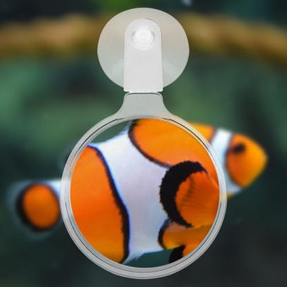 Beaupretty 4pcs Fish Tank Magnifying Glass Suction Cups Acrylic Magnifier for Aquariums and Reptile Tanks for Observing Animals and Plants