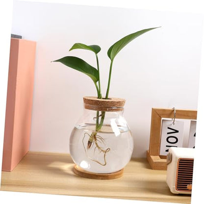 Sosoport Desktop Hydroponic Glass Fish Bowl with Mat Betta Tank for Home Office Decoration Observation Aquarium for Small Plants and Fish