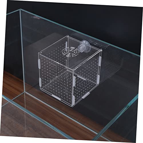 LIOOBO Modern Fish Tank Isolation Box Acrylic Fish Breeding Tank for Betta Guppy Suction Cups and Divider