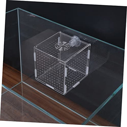 LIOOBO Modern Fish Tank Isolation Box Acrylic Fish Breeding Tank for Betta Guppy Suction Cups and Divider