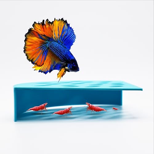 Corner Shrimp Guard to Prevent Predator Fish. Ultimate Breeding Protection for Shrimp in Betta Tank. Enhance Tank Harmony, 3.5" Diameter