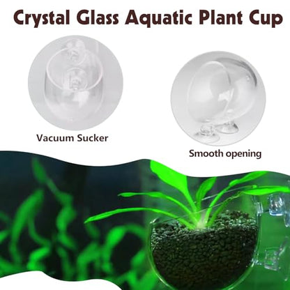 Tfwadmx 6 Pieces Aquarium Plant Holder Pot Aquarium Decor Crystal Glass Aquatic Plant Cup with Suction Cups Aquarium Fish Tank Decorations