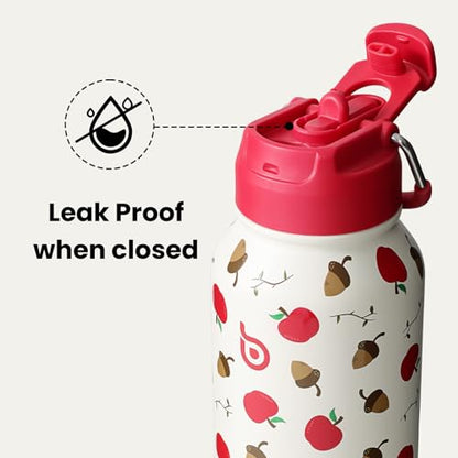BOTTLE BOTTLE 32oz Insulated Water Bottle with Pill Box | Stainless Steel,Sport Water Bottle, with Straw Dual-use Lid and Pill Box, Design for Gym - color: berry