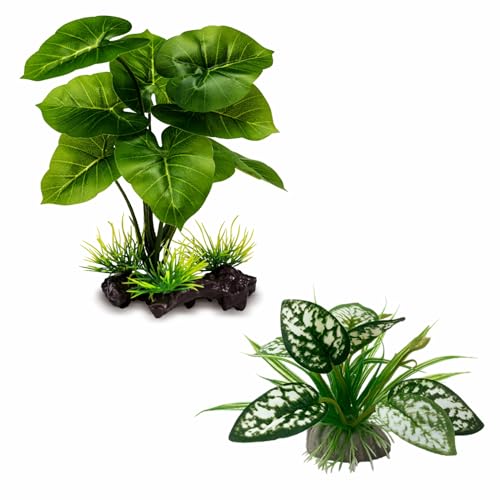 Moonorange Reptile Artificial Plants, Terrarium Plants Decorations Supplies, Aquarium Fish Tank Plant, Amphibian Habitat Hideout Tank Accessories (M Set-2pcs/D) - color: Ms Set-d