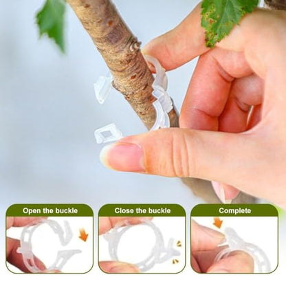 Secured Plastic Plant Clip, 2025 Upgrade Plant Support Clips Reusable Garden Clips, Garden Clips for Climbing Plants, Plastic Trellis Clips Tomato Grape Vine Vegetables Plant Fixing Clips (50, Black) - color: Black