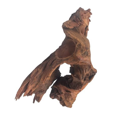 emours Porous Natural Driftwood for Aquarium, Aquascaping Driftwood with Holes, Hand-Selected Tunnels & Hideouts, Aquascaping Hardscape, Terrarium Reptile Décor, No Paint or Resin (8-12" (20-30 cm)) - size: 8-12" (20-30 cm)