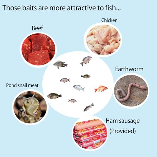 Portable and Hard Plastic Aquarium Minnow&Small Fish Trap for Aquarium Children Fishing Outdoors,Durable Container Bait Trap Suitable for Fishing,Crab,Shrimp,Turtle - size: Medium