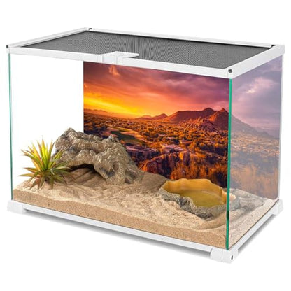 30x12 in Sun Desert Terrarium Backdrop Mountain Reptile Habitat Background | AWERT Oasis Gobi Mountain Desert Background, Vinyl - size: 30x12in/75x30cm