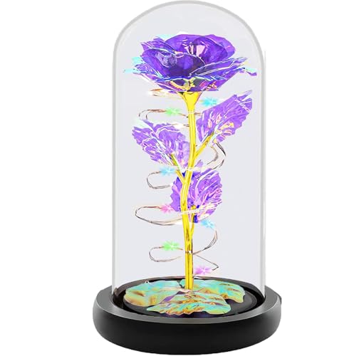 Fvawe Birthday Gifts for Women,Rose Glass Flowers Gifts for Mom,Galaxy Crystal Light Up Rose in A Glass Dome,Presents Girlfriend Wife Sister Grandma Her Anniversary Valentines Mothers Day, Purple - color: Purple Colorful