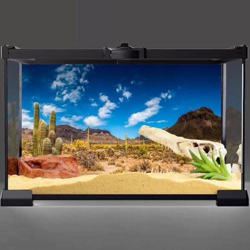 24x12 in Reptile Habitat Background Blue Sky Cactus Desert Tank Backdrop | AWERT Desert Oasis Terrarium Background, Vinyl - size: 24x12in/60x30cm