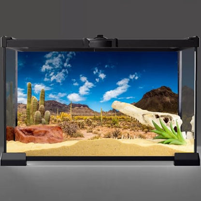 30x12 in Reptile Habitat Background Blue Sky Cactus Desert Tank Backdrop | AWERT Desert Oasis Terrarium Background, Vinyl - size: 30x12in/75x30cm