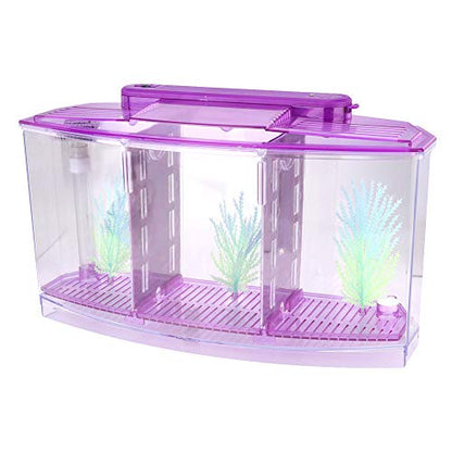 Small Fish Isolation Fish Tank, LED Acrylic Aquarium Fish Tank, Transparent Fish Isolation Box with 2 Isolation Plates for Small Fishes Betta Shrimp Guppy (Lightpurple)