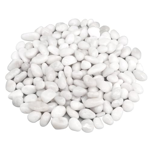 Fish Tank Rocks,Landscaping Pebbles,Decorative Ornamental Pebbles Garden | Landscaping Stones Gravel Filler for Home Decoration Flower Bed Fish Tank Plants Vases Succulents (5 Pounds, White) - color: White, size: 5 Pounds