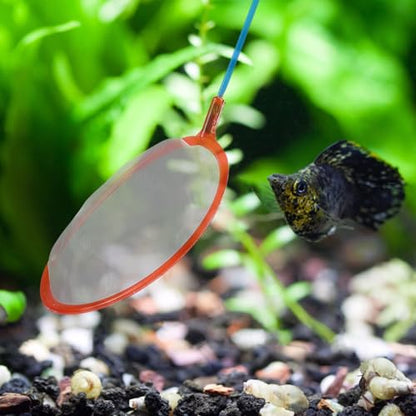10pcs Small Aquarium Fish Net Fine Mesh Fishing Landing Net for Shrimp and Small Fish Tank Use Portable Mesh for Aquarium Cleaning and Catching Random Color