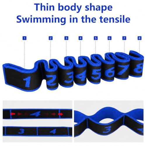 2 Pack Numbered Resistance Bands - 8 Loop Stretch Band, 8 Section Elastic Stretch Strap for Glute Training, Yoga, Pilates, Dance & Flexibility (Blue+Red)