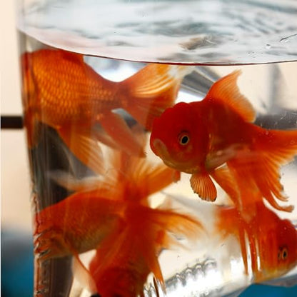 Aogigigio Fish Bags - 100pcs Clear Shipping Bags for Live Fish, 6"X12", Leak Proof, 2 Mil Thick