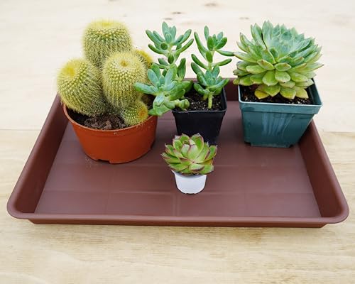 VUWEZ Rectangle Plant Tray, Plant Drip Tray, Plant Pot Saucers, Plant Germination Trays, Plant Saucers, 11'' x 9'' x 1.2'' (2 pack), Chocolate - color: Chocolate, size: 11'' x 9'' x 1.2'' (2 pack)