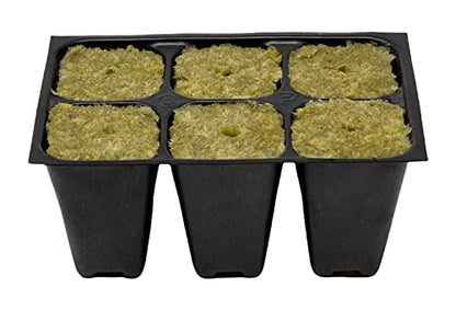 Seed Starter Tray, 1440 Cells (240 Trays - 6 Cells Per Tray) + Plant Stakes - size: 240 Trays (1440 Cells)