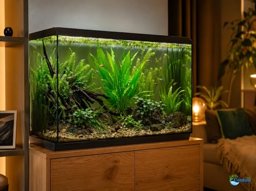 Assorted Mixed Plant Bundle | Live Aquarium Plant, Freshwater, Low | Medium | High Light