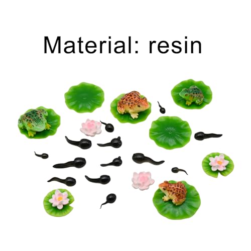 29Pcs Mini Artificial Pond Accessories Miniature Frog Tadpole Lotus and Water Lily Pad Figurines Resin Tiny Cake Toppers Decor for DIY Fairy Garden Bonsai Moss Landscape Aquarium Crafts