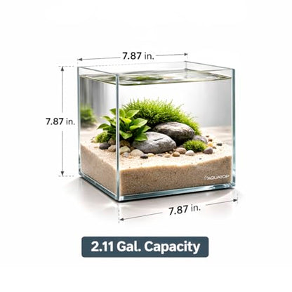 Aquatop High Clarity Low Iron Glass Cube Aquarium, 2.11-Gal – 5mm Thick Glass – Slim Design – Fresh & Saltwater – Desktop Tank with Silicone Sealing - size: 2.1 Gal