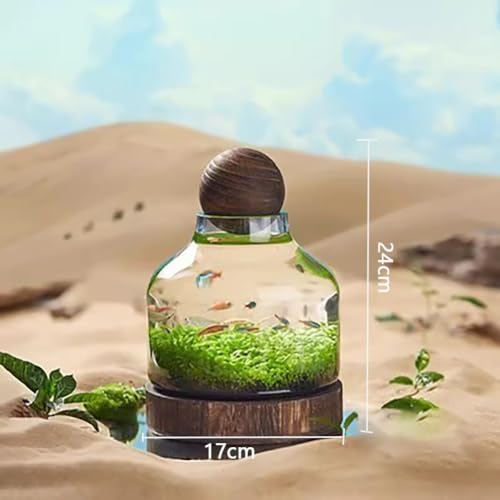Glass Aquarium with Wooden Base, Microecosphere Fish Tank, Transparent Bottle-Shaped Batta Fish Bowel, Micro-Landscape Ecological Aquarium, Modern Glass Goldfish Tank,S - color: S