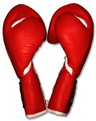 Professional Fight Boxing Gloves - Pro Fight Gloves - size: 12oz