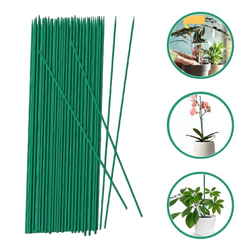 INOOMP 40pcs Plant Support Stakes 45cm Gardening Sticks for Plants Floral Stem Support Poles Sturdy Indoor and Outdoor