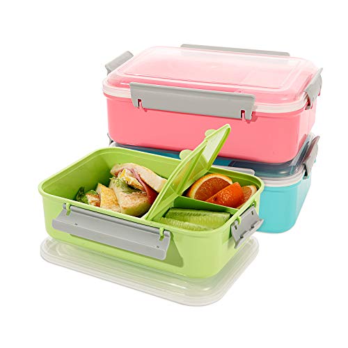 3 Pack Sandwich Container,Reusable Sandwich Containers for Lunch Boxes,Plastic Sandwich Box Tupperware for Kids Adults, Divided Salad Bento Box Food Meal Prep Container for School, Office,Travel, 40oz - color: Sandwich Container