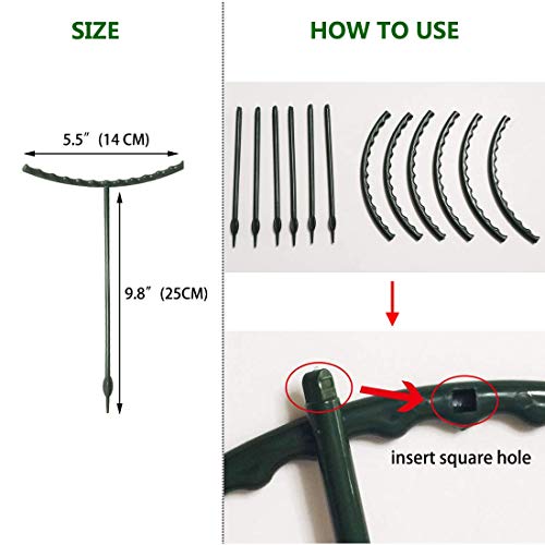 Belit 8 Pack Small Plant Support Plant Stakes, Garden Flowers Green Plant Support Ring, Planter Support Ring for Schlumbergera, Clivia, Vegetables, 5.5" Wide x 9.8" High - size: 5.5" x 9.8"