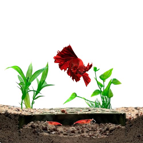 Shrimp Breeding Protector, Shrimp Hide Tunnel, Forest Green | Aquarium tunnel creates a sheltered breeding cave for dwarf, cherry and baby shrimp while helping protect young shrimp. - color: Forest Green