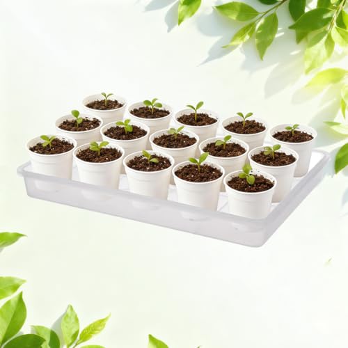 MUZHI 6 Pack Plastic Bonsai Humidity Trays, Rectangle Plant Growing Saucer Water Catcher Drip Tray, Seed Starter Drainage Tray Translucent (11.5x8.3 Inch)
