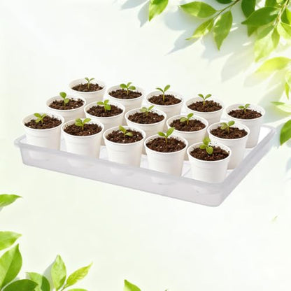 MUZHI 6 Pack Plastic Bonsai Humidity Trays, Rectangle Plant Growing Saucer Water Catcher Drip Tray, Seed Starter Drainage Tray Translucent (11.5x8.3 Inch)