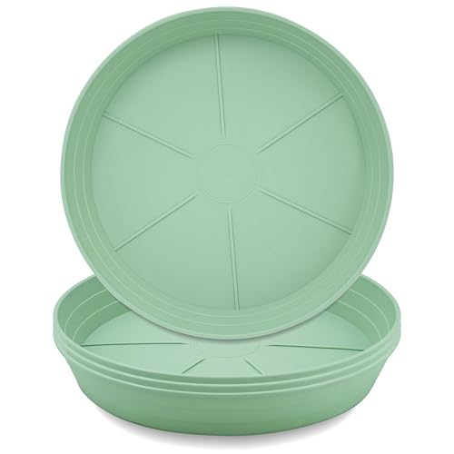 LWALRS Plant Saucer 6 Inch 4 Pack 6 8 10 12 14 16 18 20 25, Plastic Plant Trays for Pots，Extra-Deep Plant Water Dray Tray, Bird Bath Bowl, Heavy Flower Plant Saucers Indoors and Outdoor No Holes - color: Grass Green, size: 6in(4 Pack)